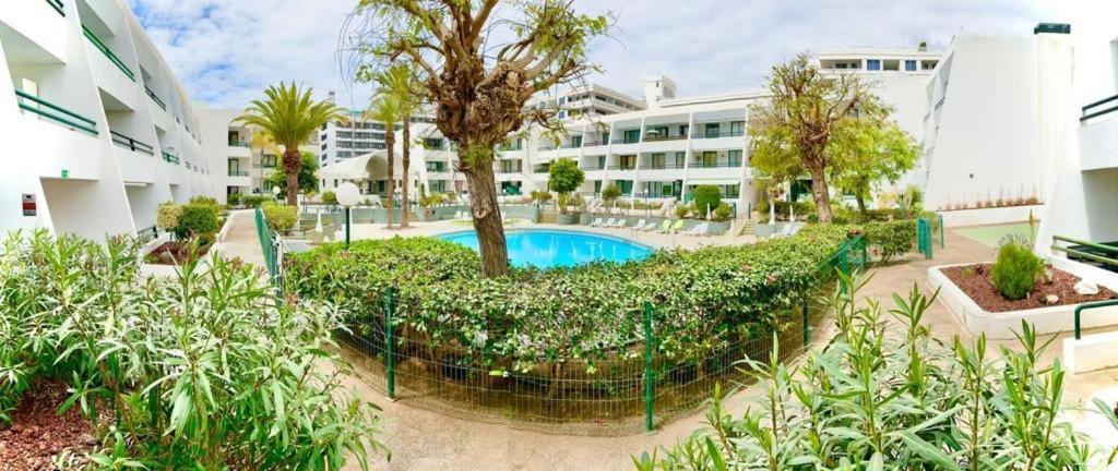 Apartament Optimist Playa De Las Americas Zewnętrze zdjęcie